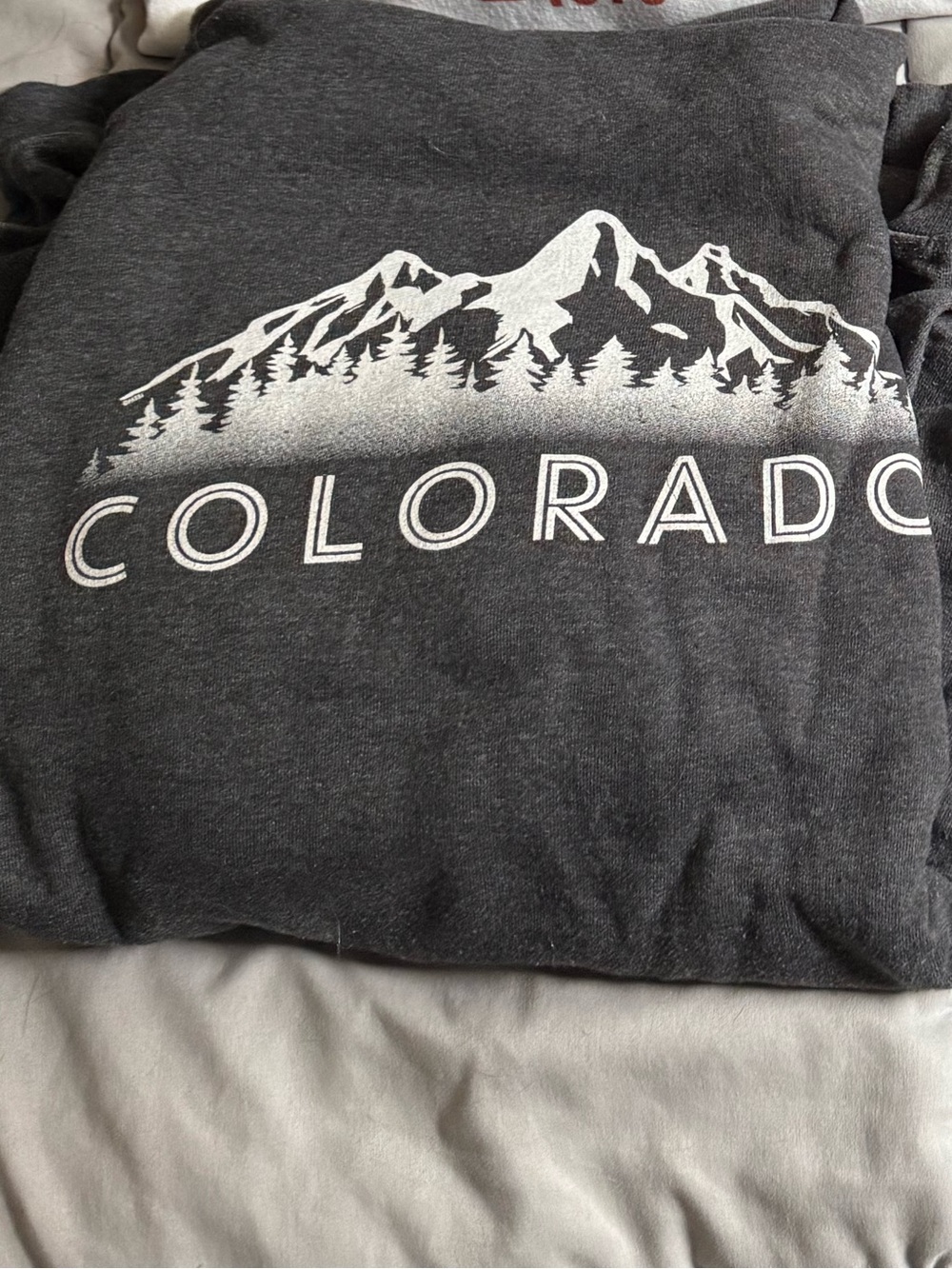 Gray Colorado Hoodie